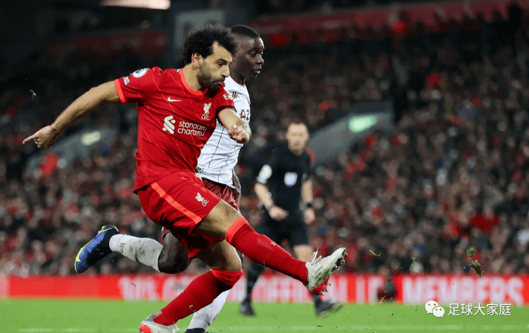 金年会官网-关于密尔沃基雄鹿训练开放日；国际比赛日豪取连胜引欢呼；英超在即；轮换策略成焦点的信息